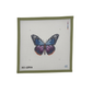Monarch Butterfly-Purple