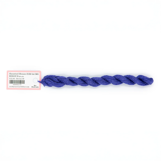 Bisous - 2153 Haunted House